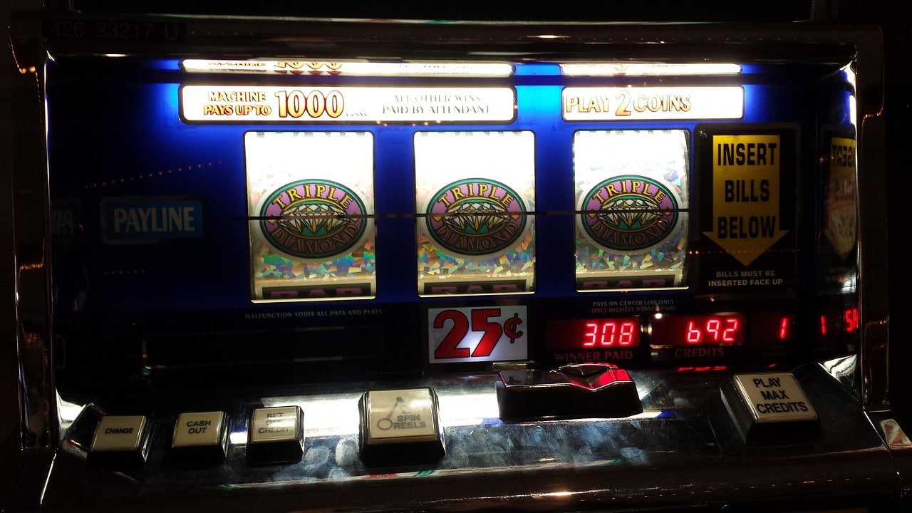 win 55